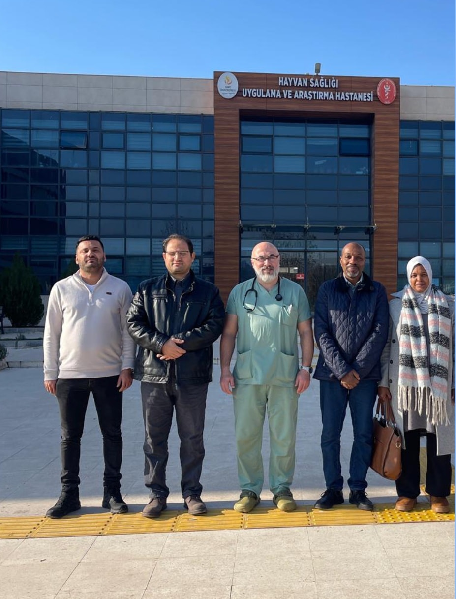 615064249 1327564079399177 8786468503399278246 n